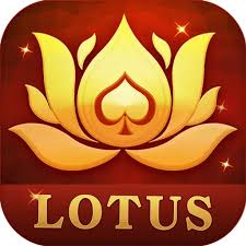 teen patti diya pro download